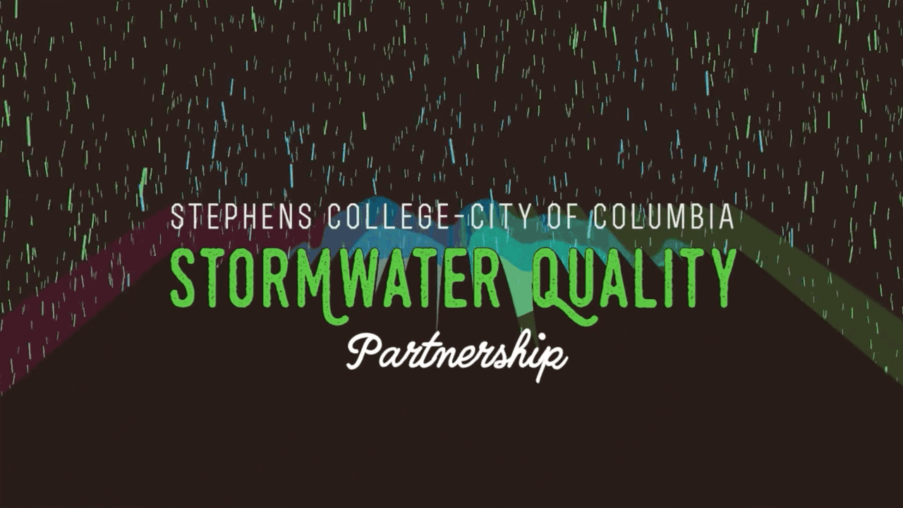 Stormwater-RaingardenHPv2gif Stormwater Quality Partnership