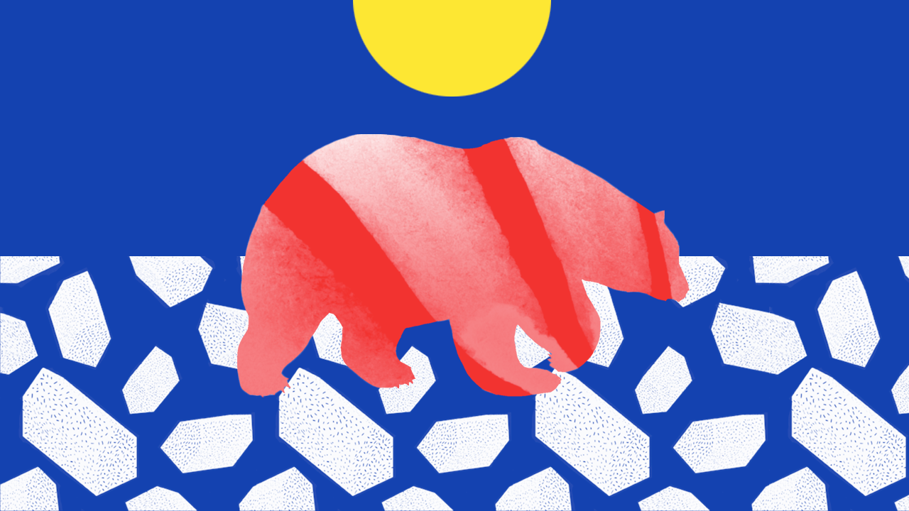 Climate Change Awards Bear Video Title