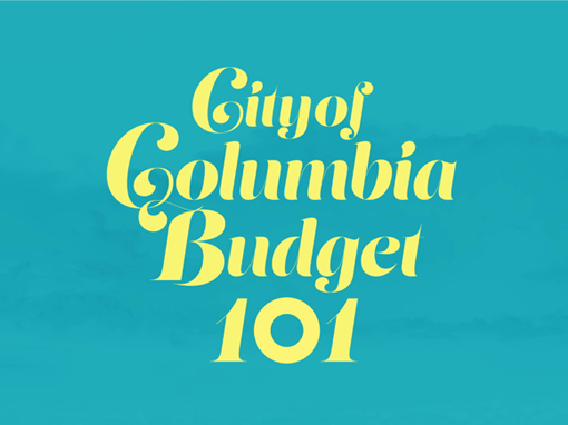 Budget 101 – Animated Infographic
