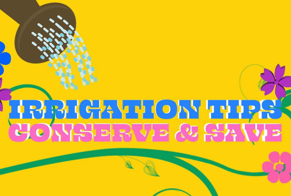 COMO Irrigation Tips – Featured